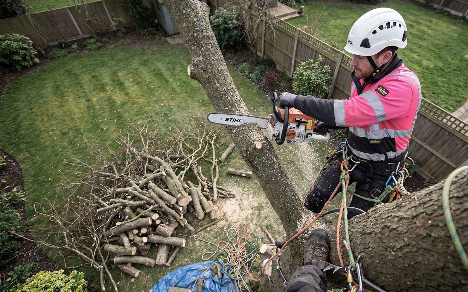 A Gaskin Tree Surgery Work