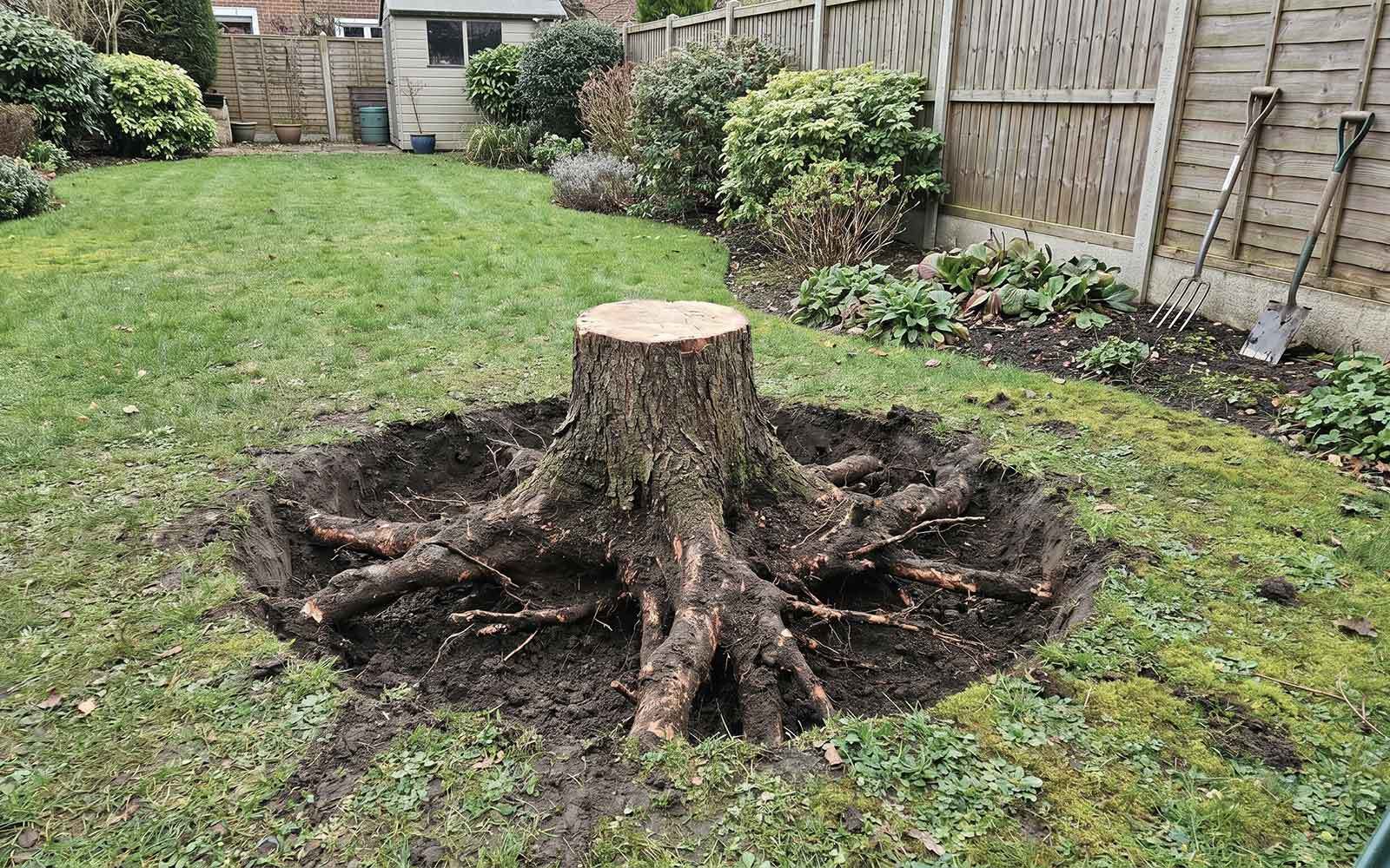 A Gaskin Tree Surgery Work