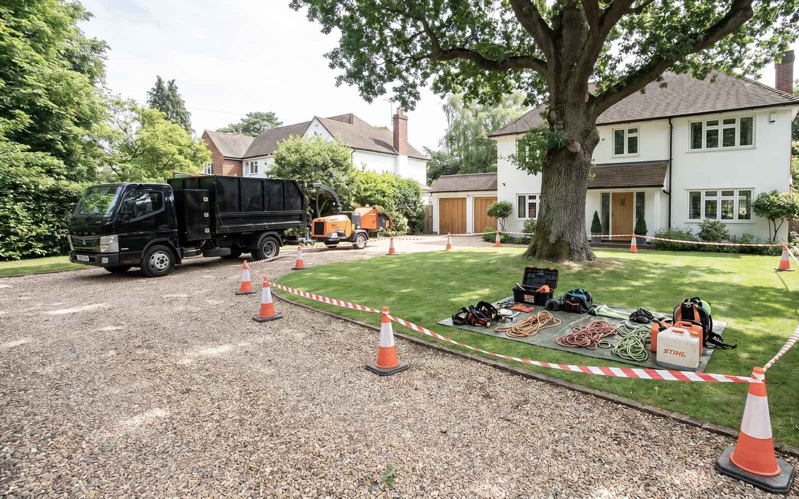 A Gaskin Tree Surgery Work